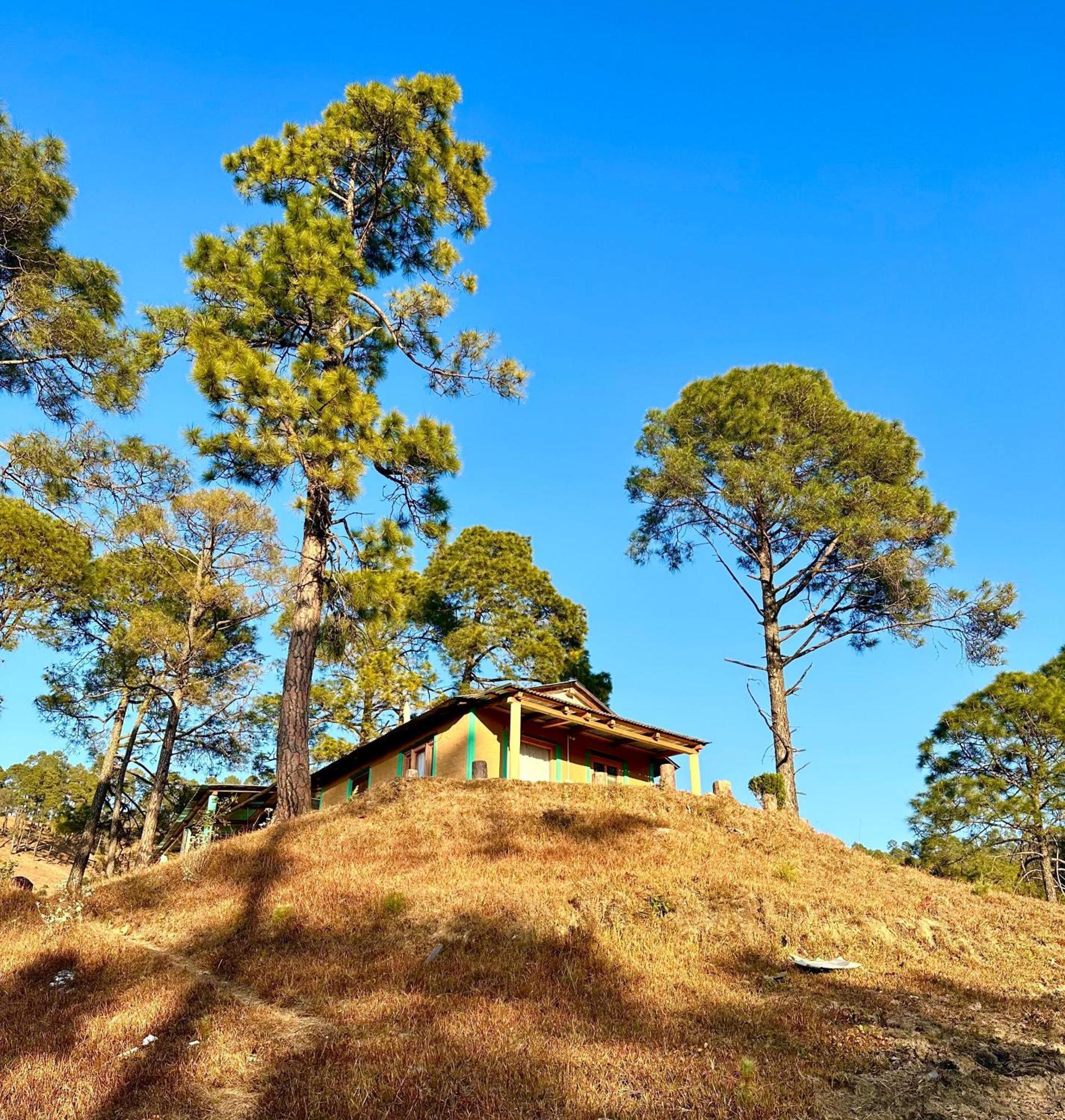 Joshi Cottage Binsar Exterior photo